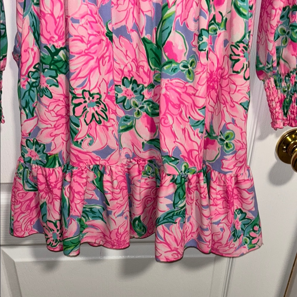 LIKE NEW! Lilly Pulitzer Cristiana Dress! - Picture 8 of 14